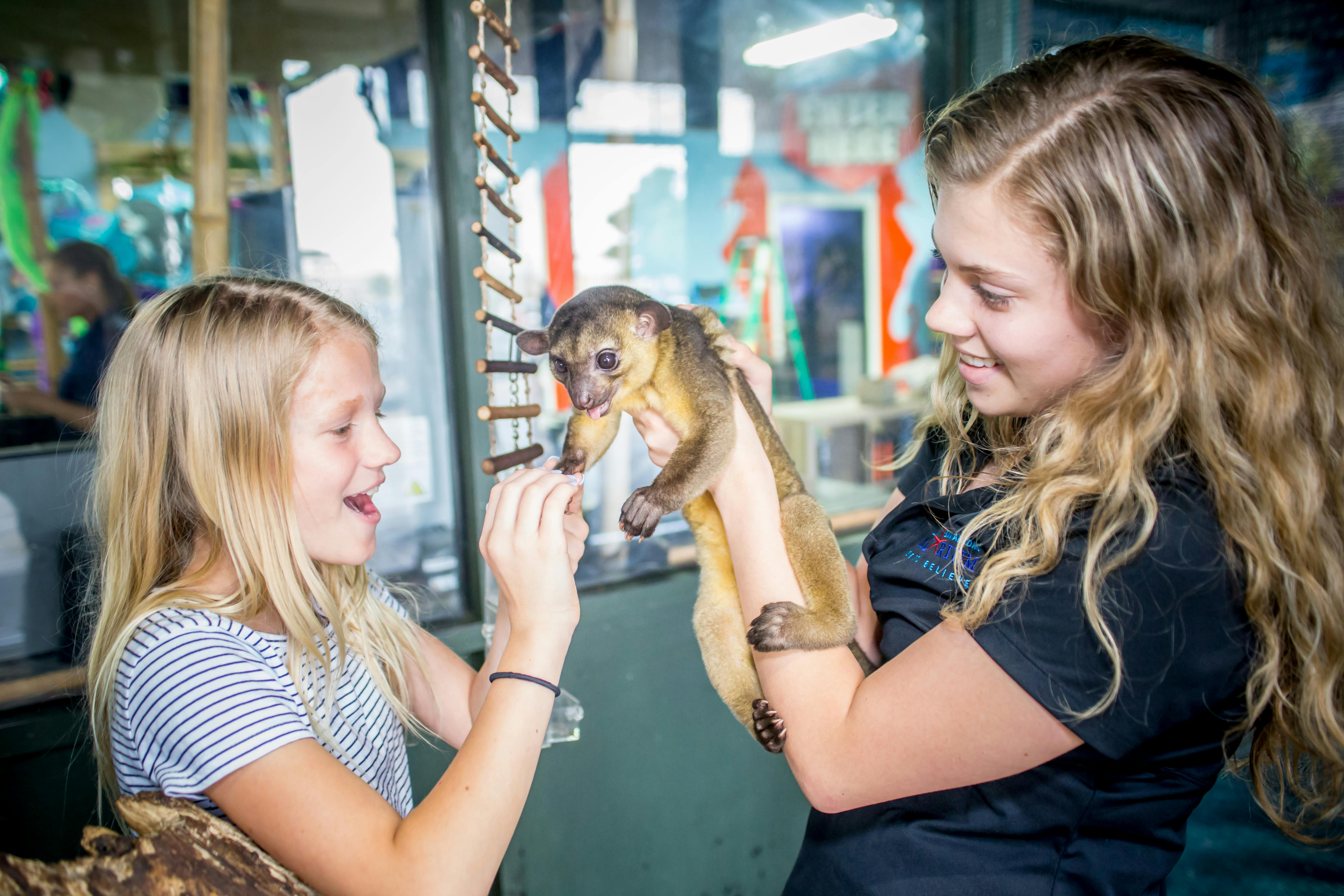 Austin Aquarium Tickets - Photo 1 of 7